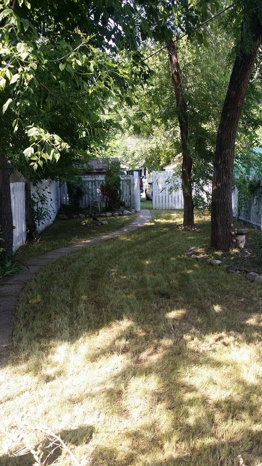 Residential Lawn Transformation - After