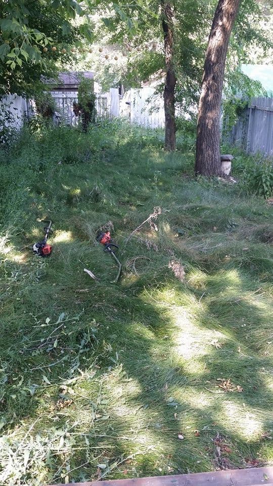 Residential Lawn Transformation - Before