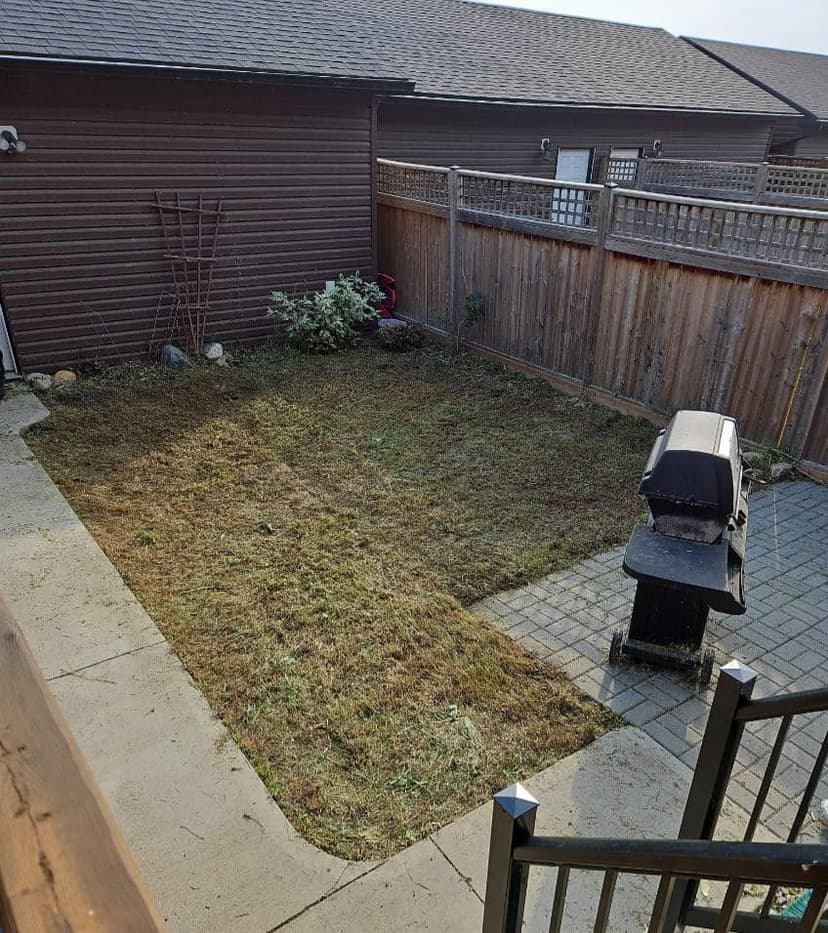Spring Cleanup Project - After