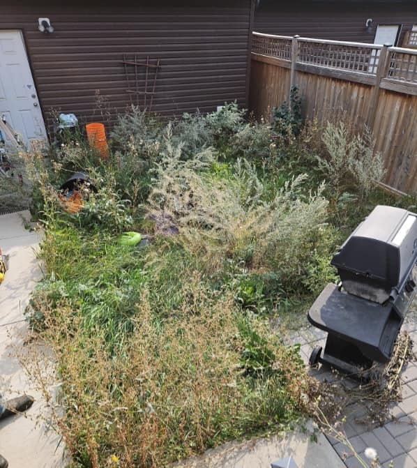 Spring Cleanup Project - Before